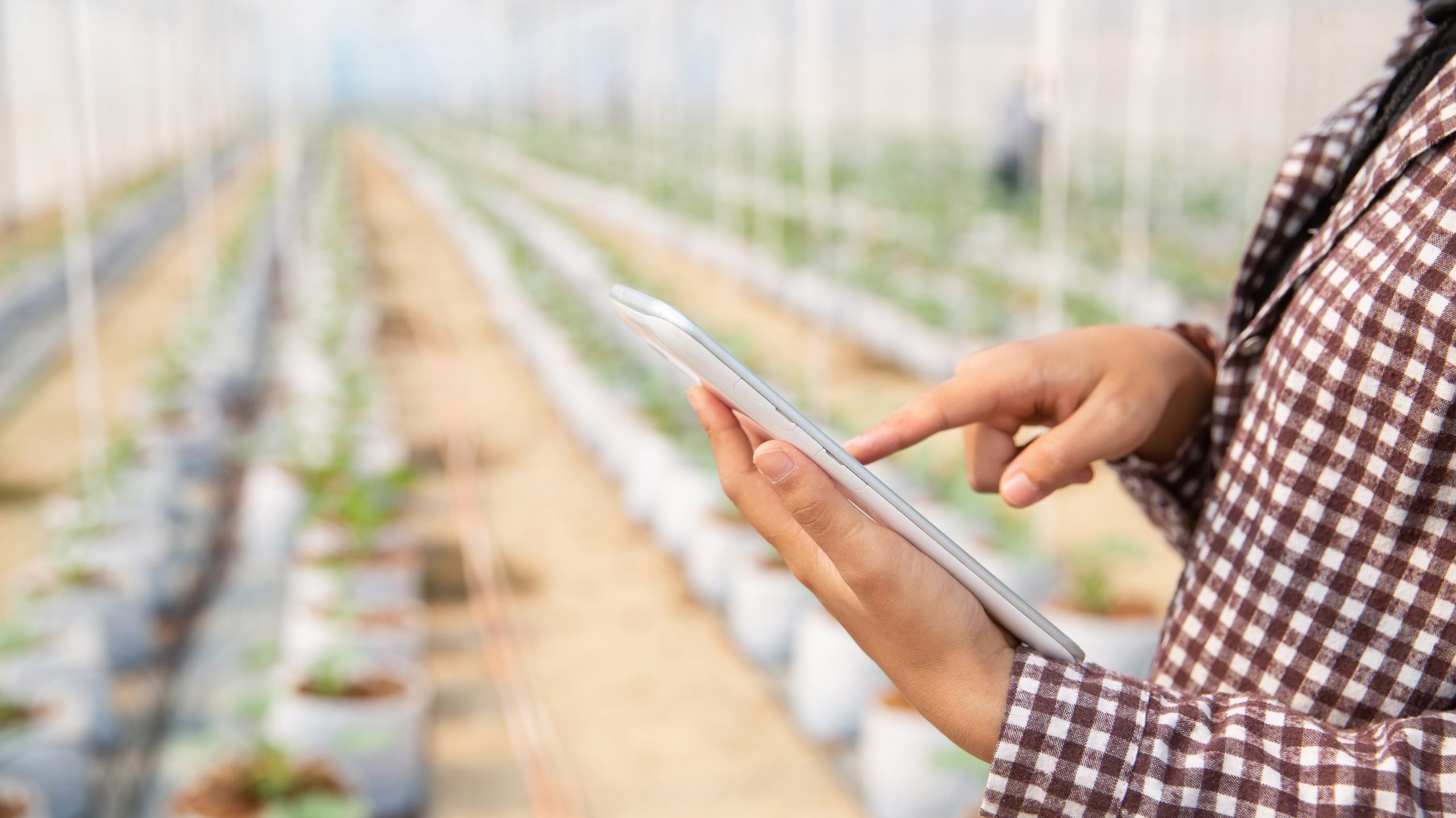 Poznaj partnerów biznesowych z sektora spożywczego podczas spotkań B2B BIOMATCH w Norymberdze